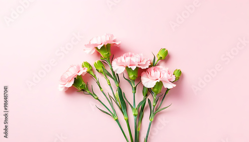 A charming bouquet of pink carnations against a light pink background, highlighting the unique charm of Mother's Day.