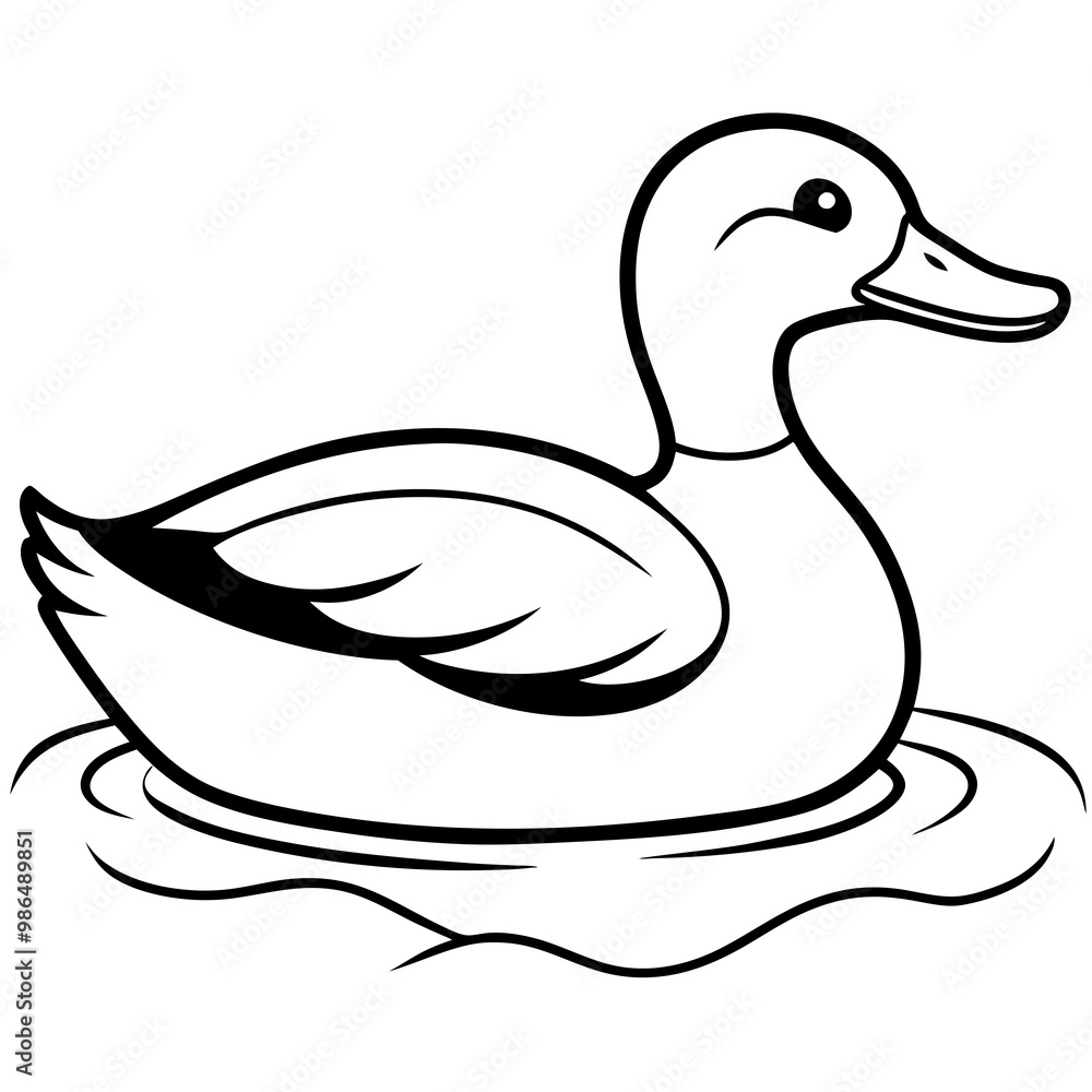 Sleek Mallard Duck Gliding on Pond Sleek Mallard Duck Gliding on Pond