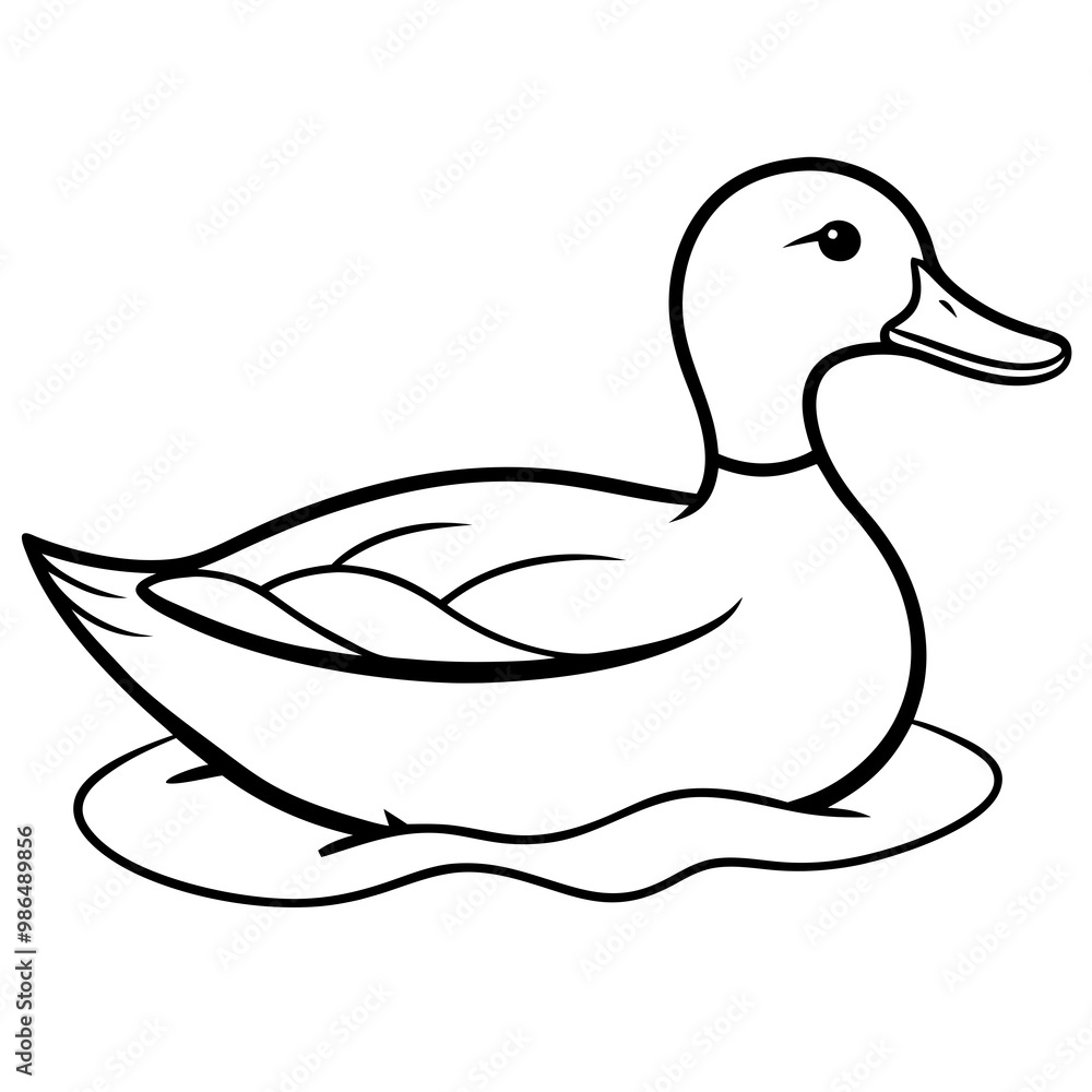 Sleek Mallard Duck Gliding on Pond Sleek Mallard Duck Gliding on Pond