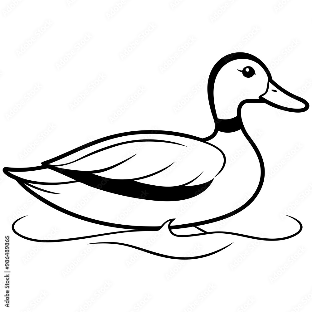 Sleek Mallard Duck Gliding on Pond Sleek Mallard Duck Gliding on Pond