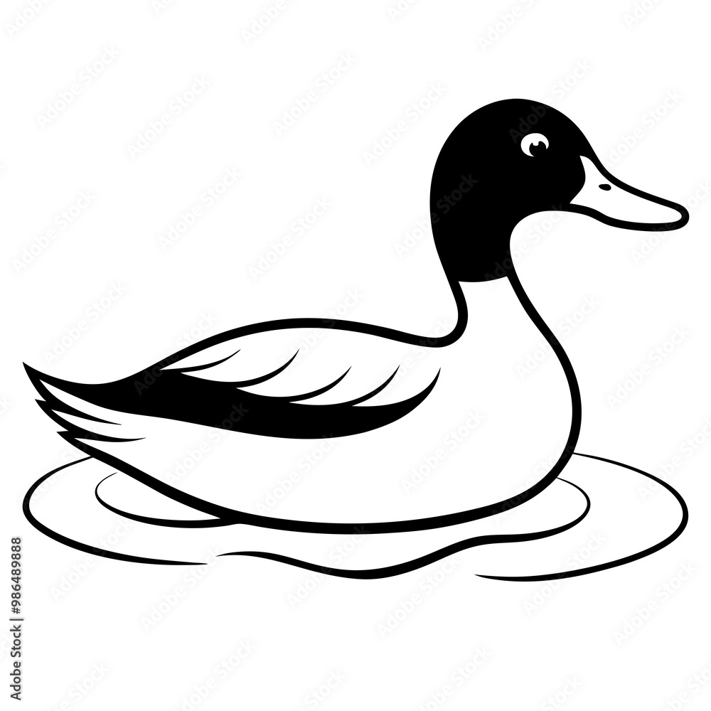 Sleek Mallard Duck Gliding on Pond Sleek Mallard Duck Gliding on Pond