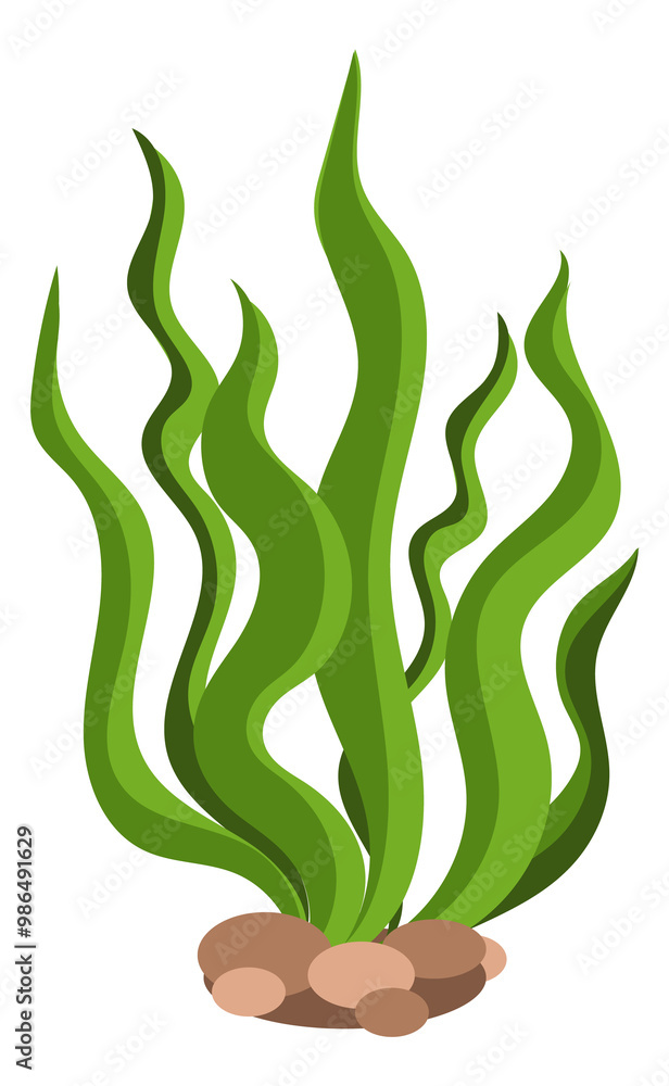 Underwater plant cartoon icon. Green alga growing Underwater plant cartoon icon. Green alga growing