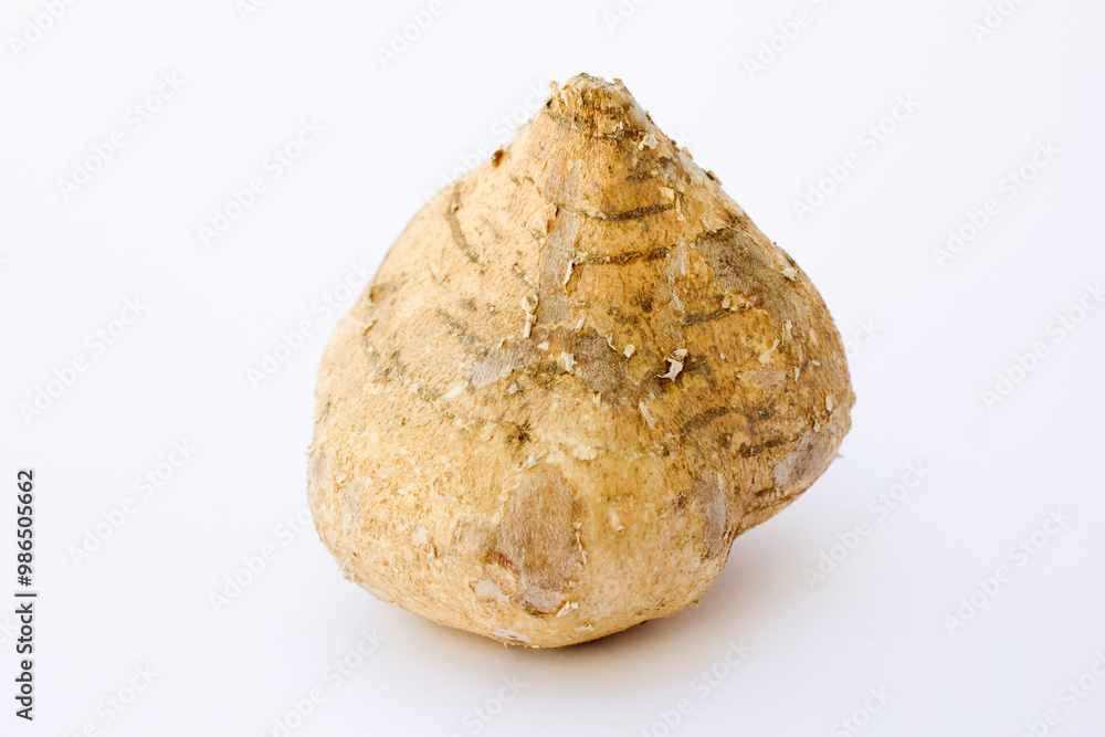 Jicama is a root vegetable that belongs to the Fabaceae family and is botanically classified as Pachyrhizus erosus. Jicama contains potassium, which supports metabolism, muscle, nerve, and kidney func Jicama is a root vegetable that belongs to the Fabaceae family and is botanically classified as Pachyrhizus erosus. Jicama contains potassium, which supports metabolism, muscle, nerve, and kidney func