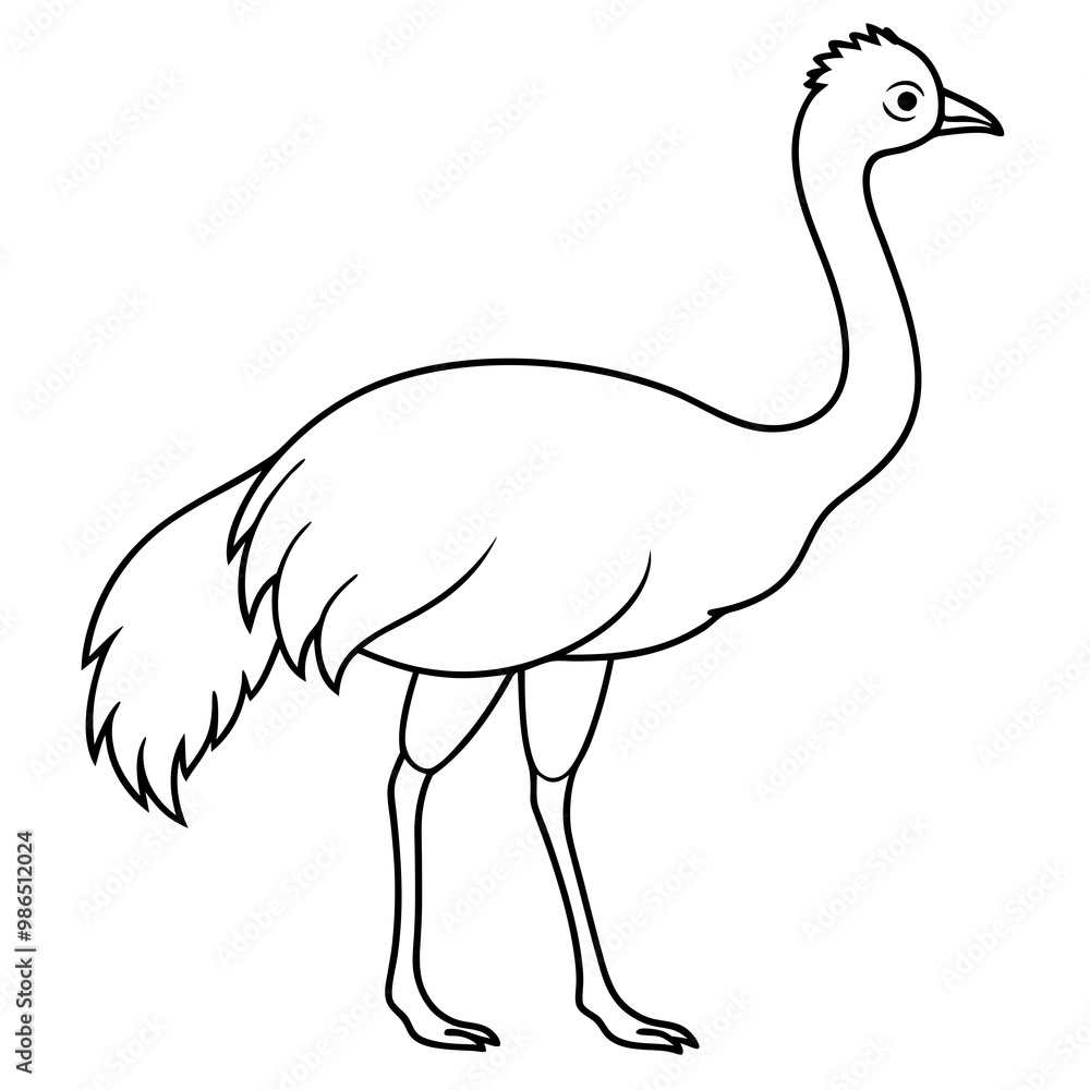 Graceful Emu Tall and Sleek Vector Design Graceful Emu Tall and Sleek Vector Design