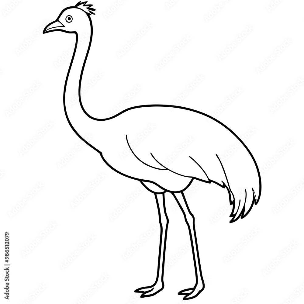 Graceful Emu Tall and Sleek Vector Design Graceful Emu Tall and Sleek Vector Design
