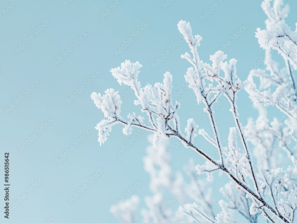 Snow-dusted tree branch under bright cyan sky Snow-dusted tree branch under bright cyan sky