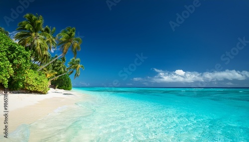 Tropical paradise beach with clear blue water