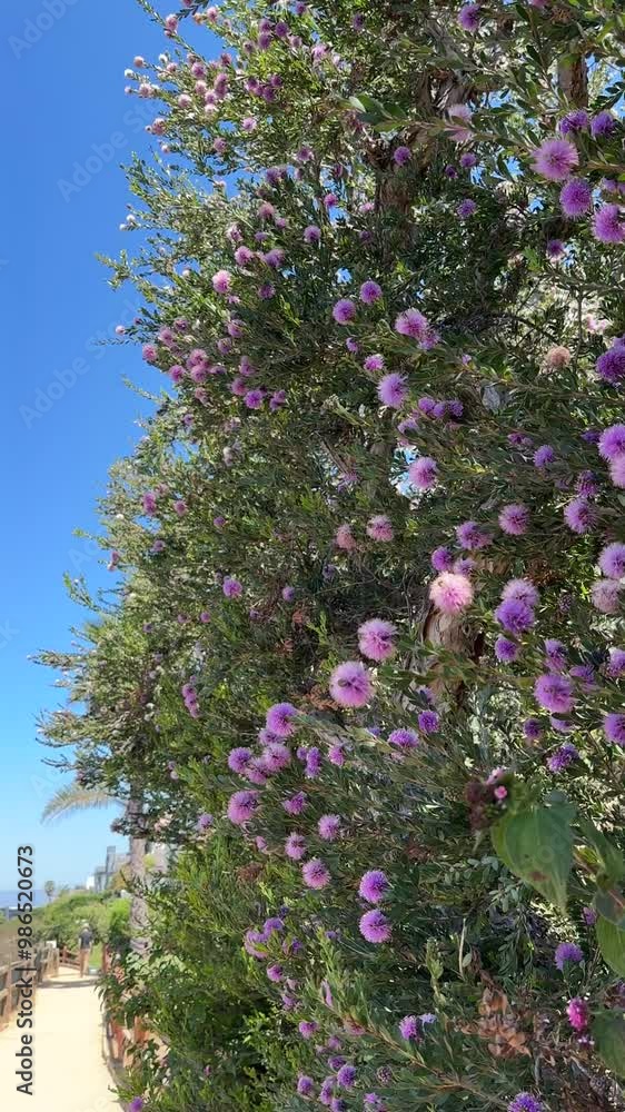 Nature in bloom Nature in bloom