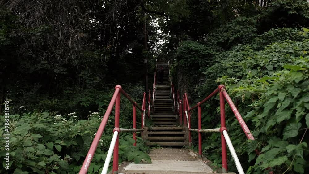 Herron Avenue public city stairs up a hillside in a wooden area Herron Avenue public city stairs up a hillside in a wooden area