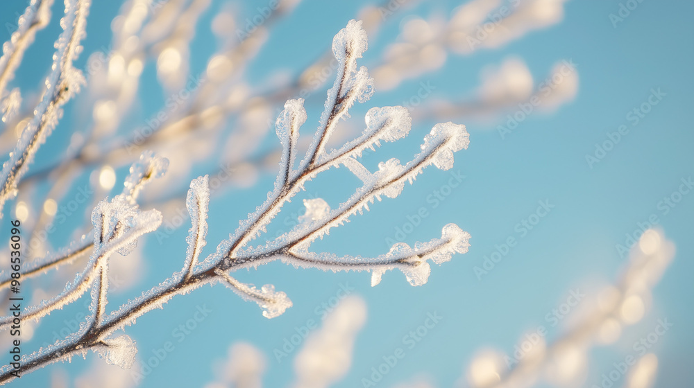 Frost-covered branches against blue sky in winter sunlight Frost-covered branches against blue sky in winter sunlight