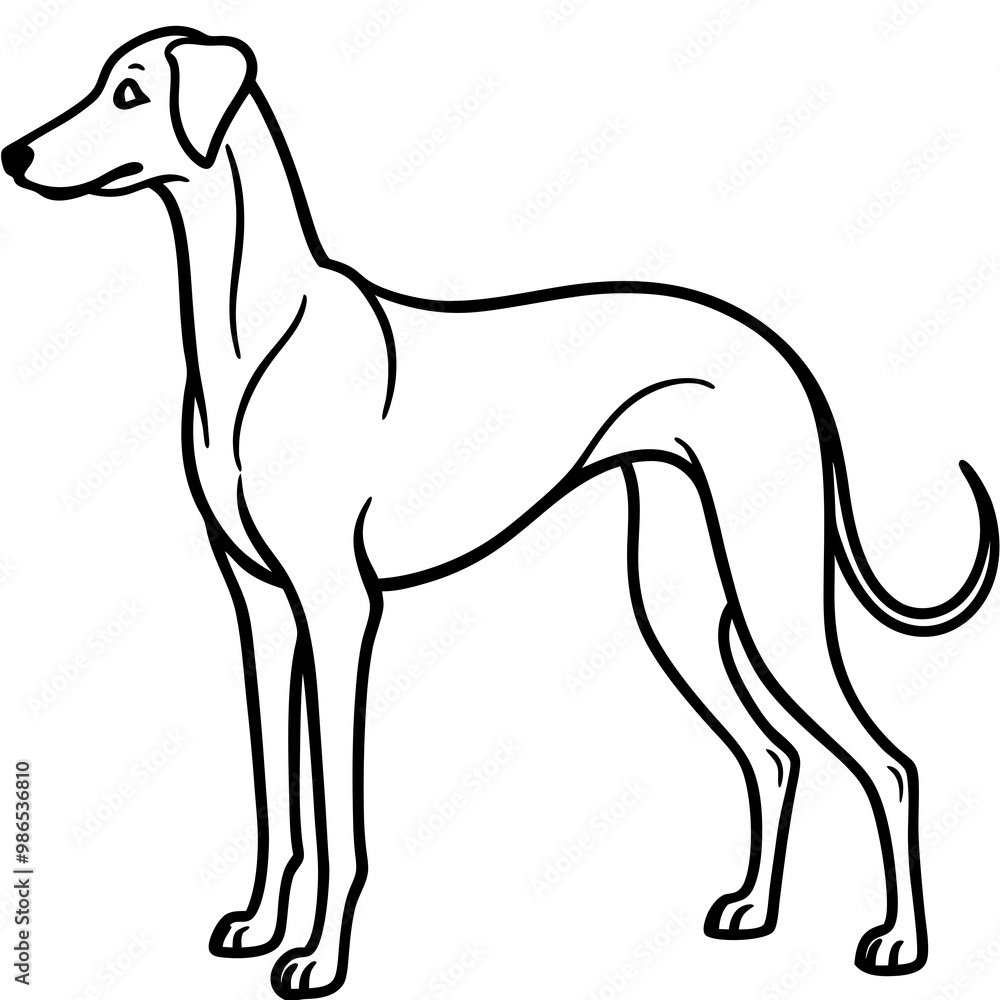 Elegant Great Dane Tall, Proud, and Slim Vector Art Elegant Great Dane Tall, Proud, and Slim Vector Art