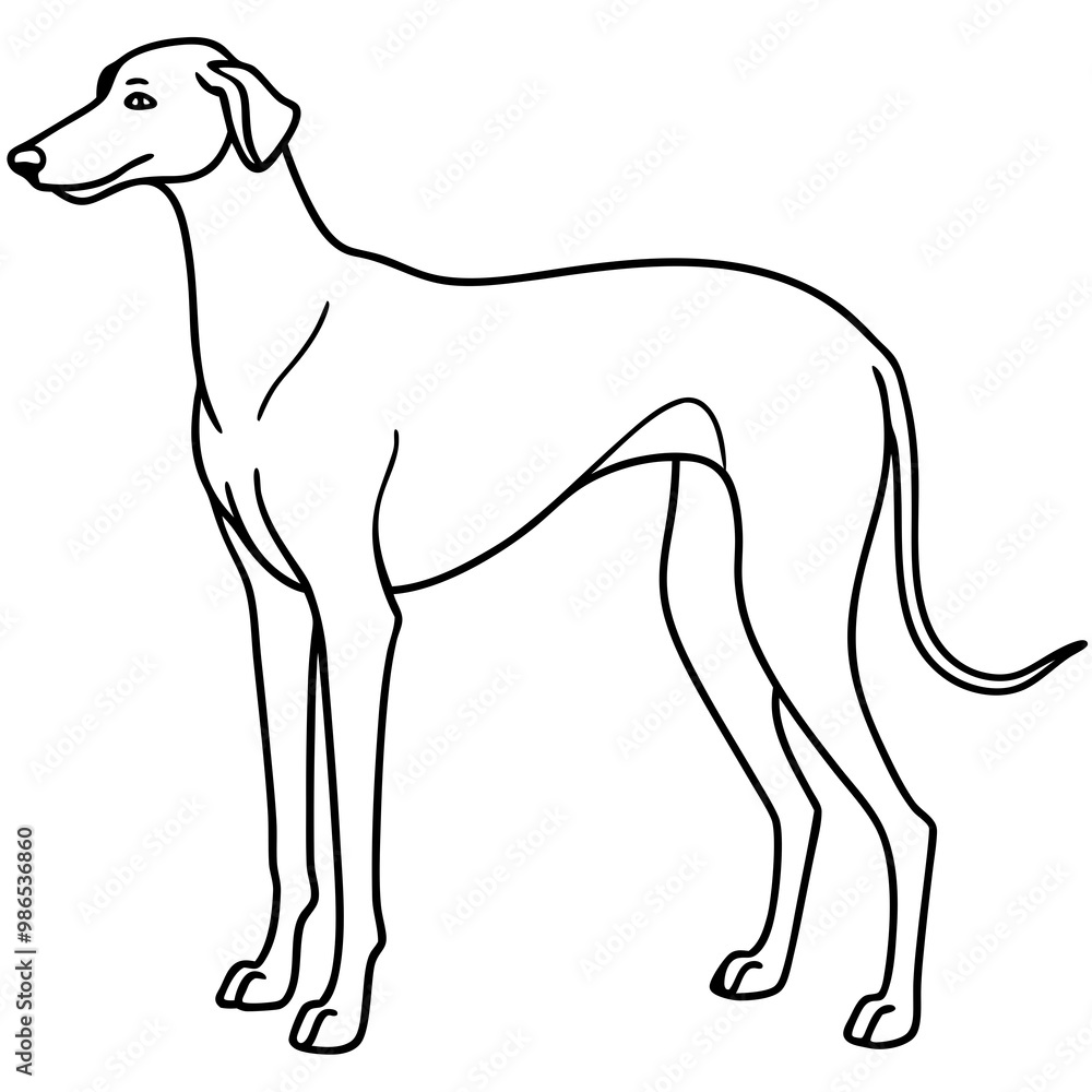 Elegant Great Dane Tall, Proud, and Slim Vector Art