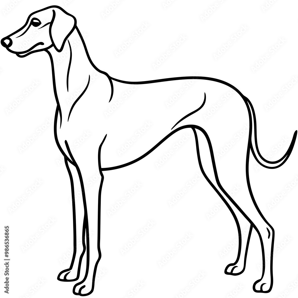 Elegant Great Dane Tall, Proud, and Slim Vector Art
