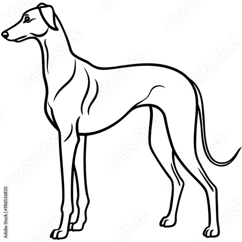 Elegant Great Dane Tall, Proud, and Slim Vector Art