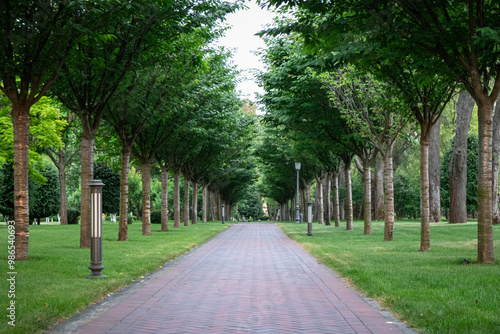 Green alley with trees in the park - tiles footpath, leaving in perspective into the park, ground lights and trees plants in a row along the walkway