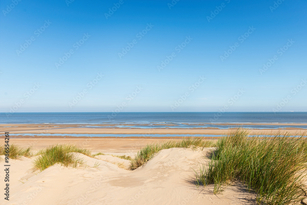 Dune landscape at the North Sea
