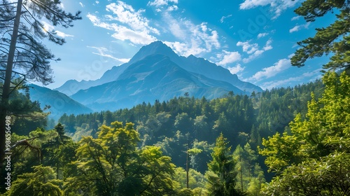 Clear sky by mountain and extensive tree forest