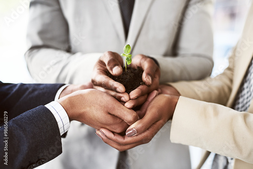 Konstfotografi Team, growth and plant with hands of business people in office for economy, investment committee and future