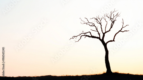 A solitary, bare tree silhouetted against a soft, fading sky, representing loneliness and the beauty of nature.