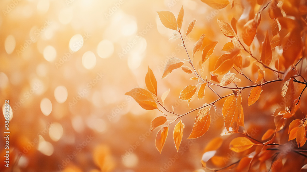 orange yellow autumn branch of leaves in front of nature background space for copy text wallpaper backdrop orange yellow autumn branch of leaves in front of nature background space for copy text wallpaper backdrop