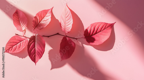 sprig of red maroon leaves on branch on pink solid background nature sunlight shadows backdrop wallpaper