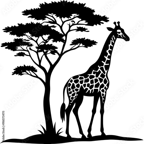 Giraffe Silhouette with Acacia Tree at Sunset  Vector Art