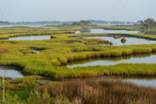 Early morning light on the green grasses and wetland of Assateague island. There are houses on the distant shore on the other side of the water.