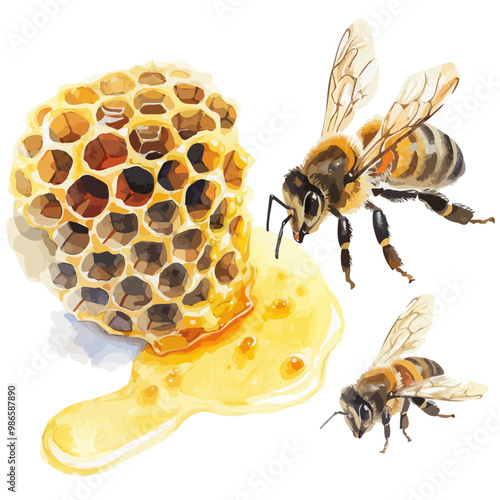 Watercolor bee honeycomb honey .vector bee illustration in watercolor style, honey hive, isolated on white background, illustration of honey bee and honeycomb, yellow and black bee, insect collection