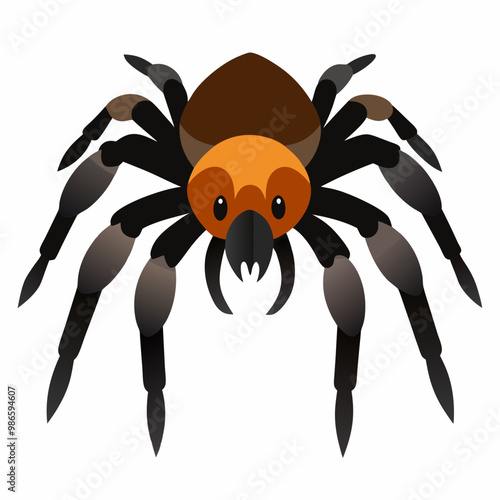 Goliath Bird-eater Spider vector artwork