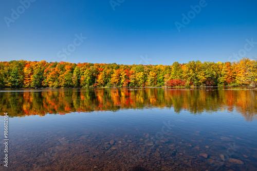 Reflection of a colorful forest in the Wisconsin River