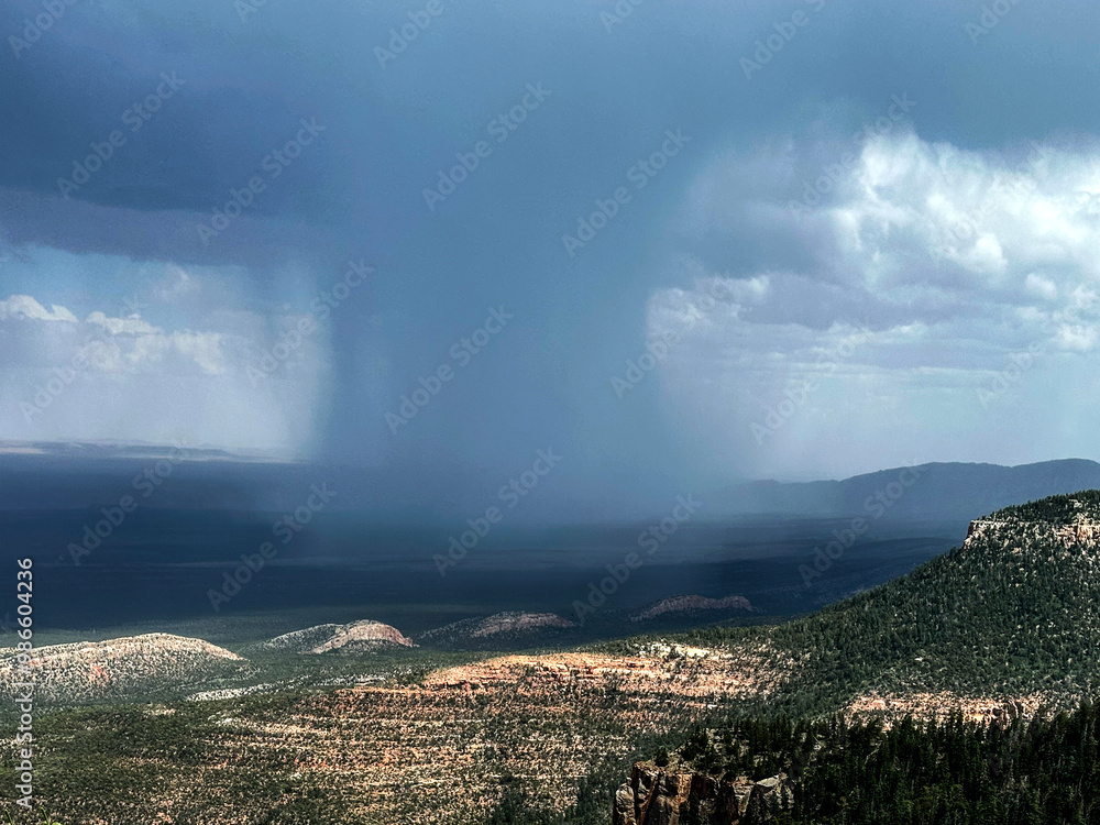 Fototapeta premium Kaibab Monsoon
