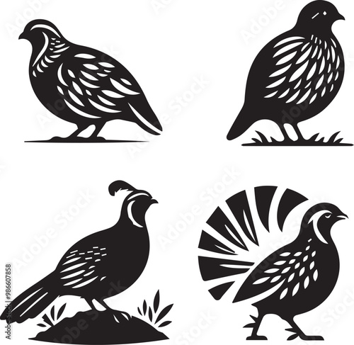 quail silhouette