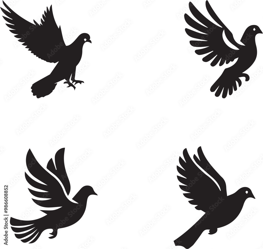 Obraz premium pigeon silhouette