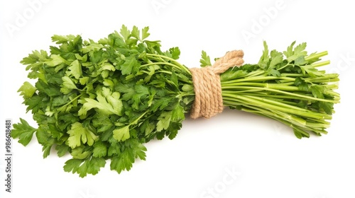 Parsley tied, sliced, on white photo