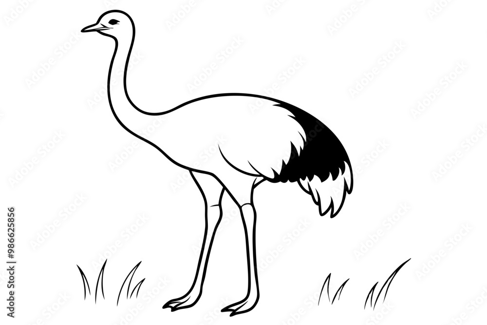 A detailed vector artwork of a common ostrich standing in the grasslands of the Savanna, showcasing the bird's natural habitat and majestic presence. Ideal for wildlife and nature-themed designs. A detailed vector artwork of a common ostrich standing in the grasslands of the Savanna, showcasing the bird's natural habitat and majestic presence. Ideal for wildlife and nature-themed designs.