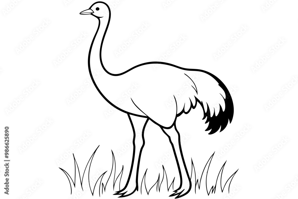 Obraz premium A detailed vector artwork of a common ostrich standing in the grasslands of the Savanna, showcasing the bird's natural habitat and majestic presence. Ideal for wildlife and nature-themed designs.
