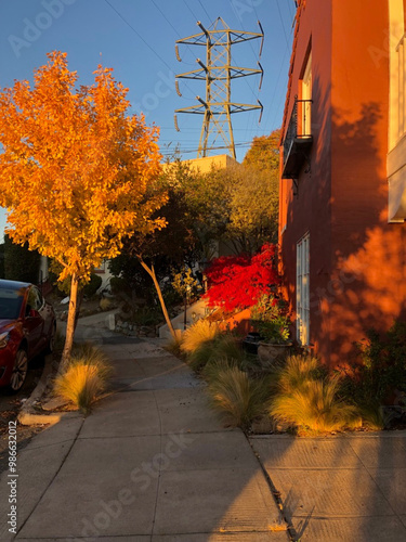 The beginnings of fall in California