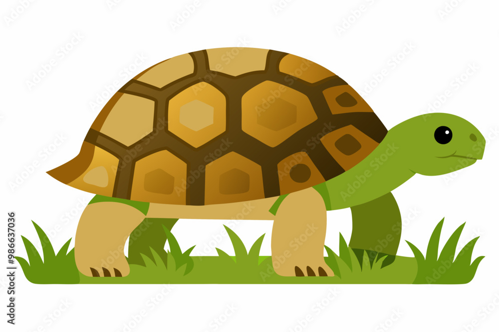 Obraz premium A detailed vector illustration of a Leopard Tortoise in the grassland of the Savanna, showcasing its distinctive shell pattern in a natural habitat.