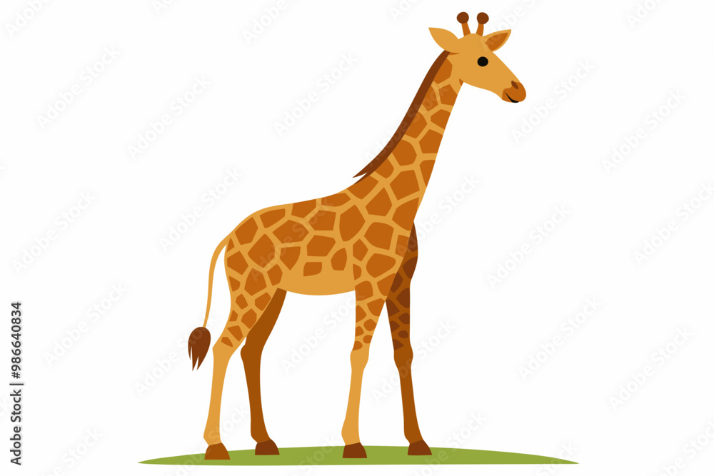 Naklejka premium Elegant vector illustration of a Masai giraffe standing tall in the grasslands of the savanna. Perfect for wildlife-themed designs, educational materials, and African landscape projects.