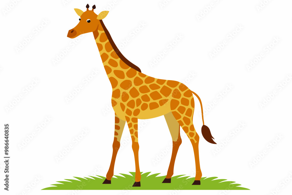 Fototapeta premium Elegant vector illustration of a Masai giraffe standing tall in the grasslands of the savanna. Perfect for wildlife-themed designs, educational materials, and African landscape projects.