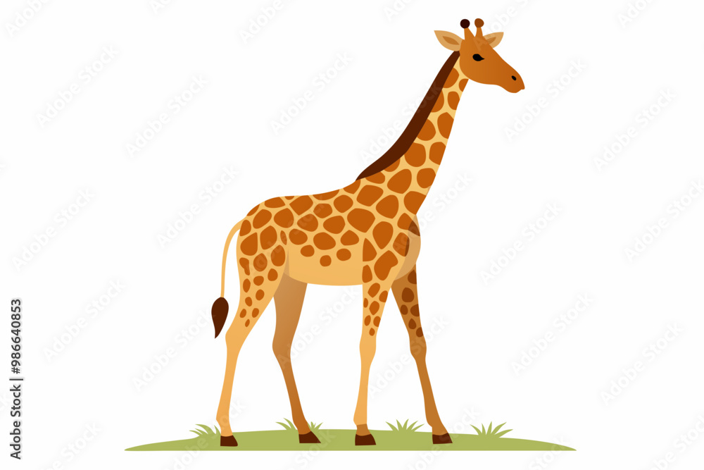 Fototapeta premium Elegant vector illustration of a Masai giraffe standing tall in the grasslands of the savanna. Perfect for wildlife-themed designs, educational materials, and African landscape projects.