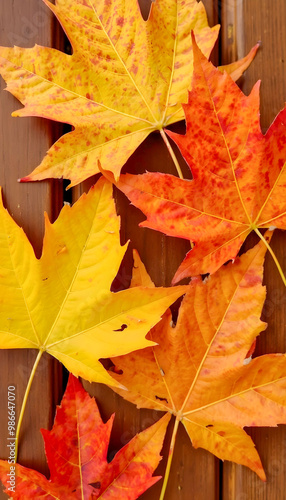 Wallpaper Mural A closeup of fall leaves displaying vibrant shades of orange, red, and gold, capturing the beauty of autumn in intricate detail Torontodigital.ca