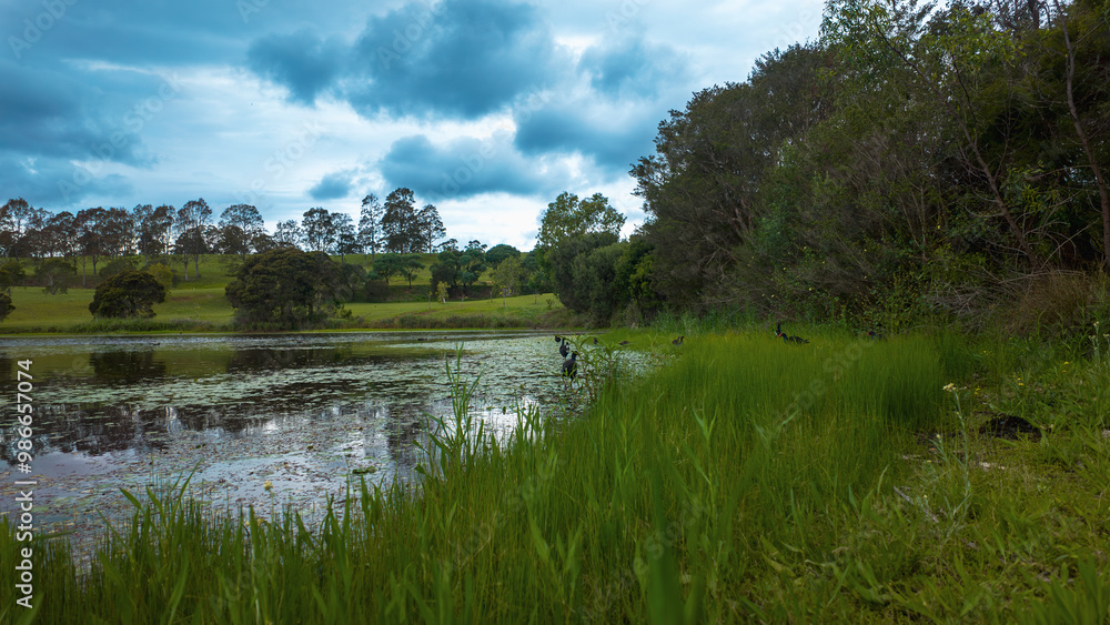 Fototapeta premium The Australian Botanic Garden, Mount Annan is the Australian native plant garden of the Royal Botanic Gardens, Sydney and covers 416 hectares