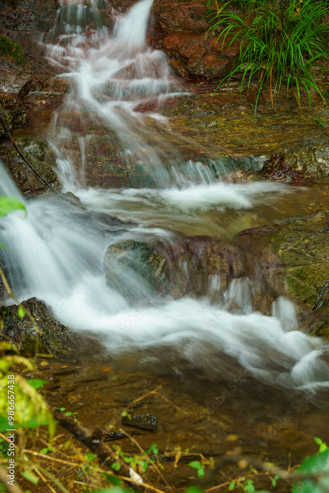 Fototapeta premium 清らかに流れる小川の水