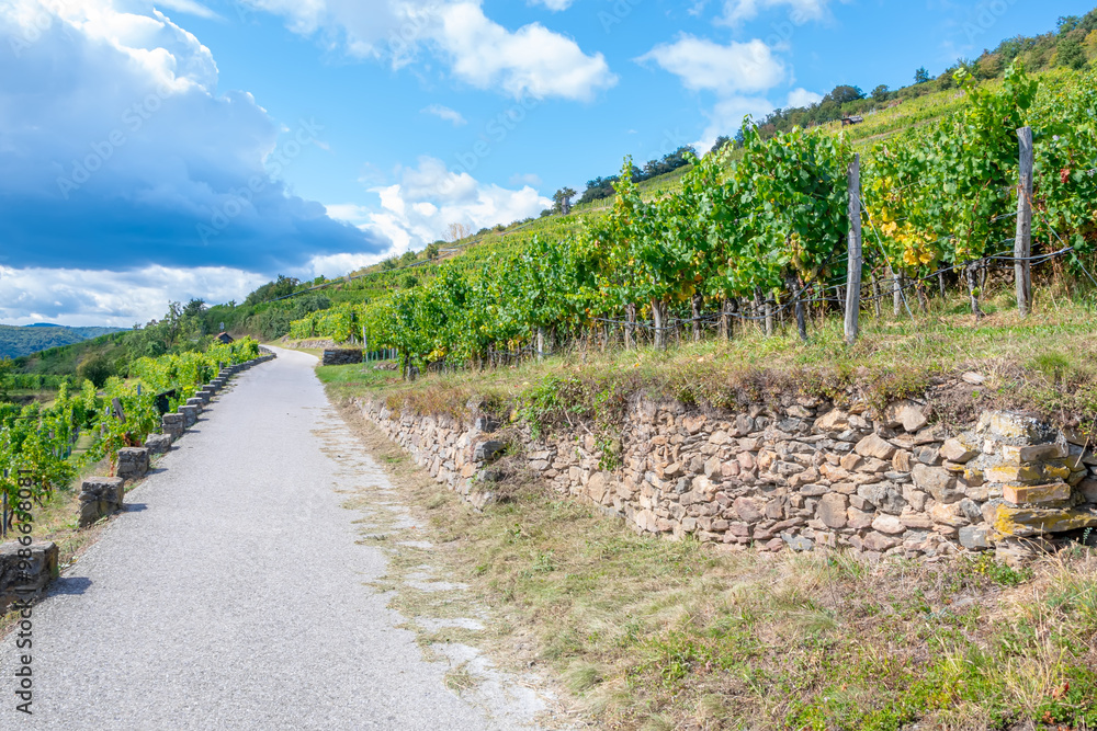 Obraz premium The road goes through a vineyard in the mountains on rocky terrain.