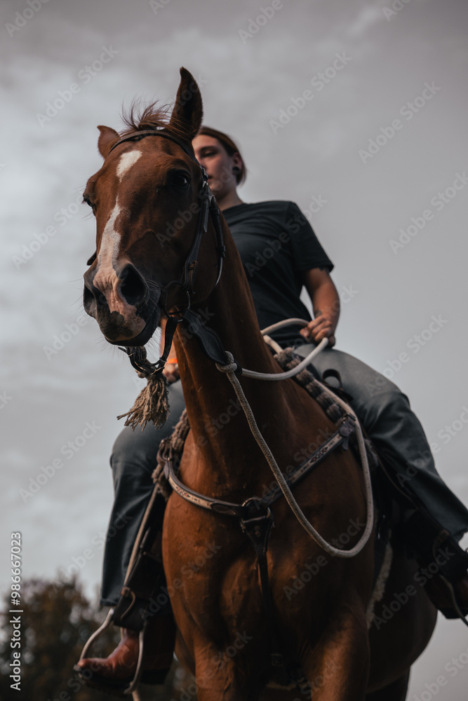Obraz premium Horse riding woman on a brown stallion, western style saddle horseback rider