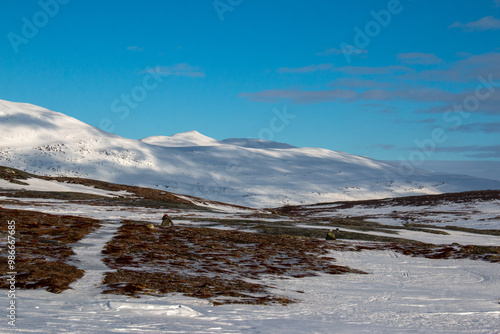 Padjelantaleden trail in March, skiing season, Lapland, Sweden photo