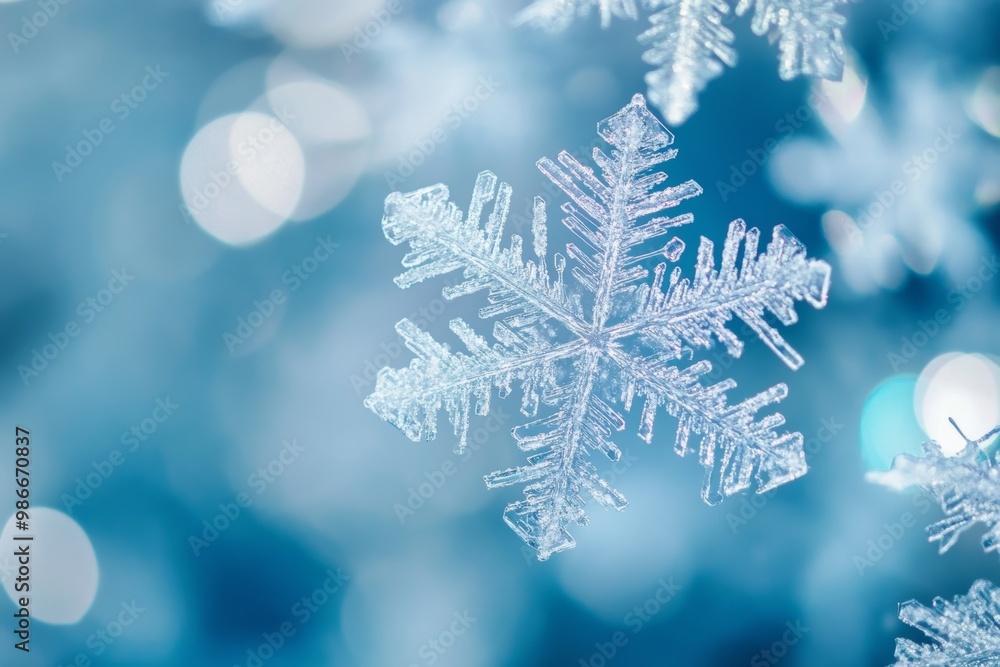 Stunning macro photography of beautifully detailed snowflakes on a frosted background Stunning macro photography of beautifully detailed snowflakes on a frosted background