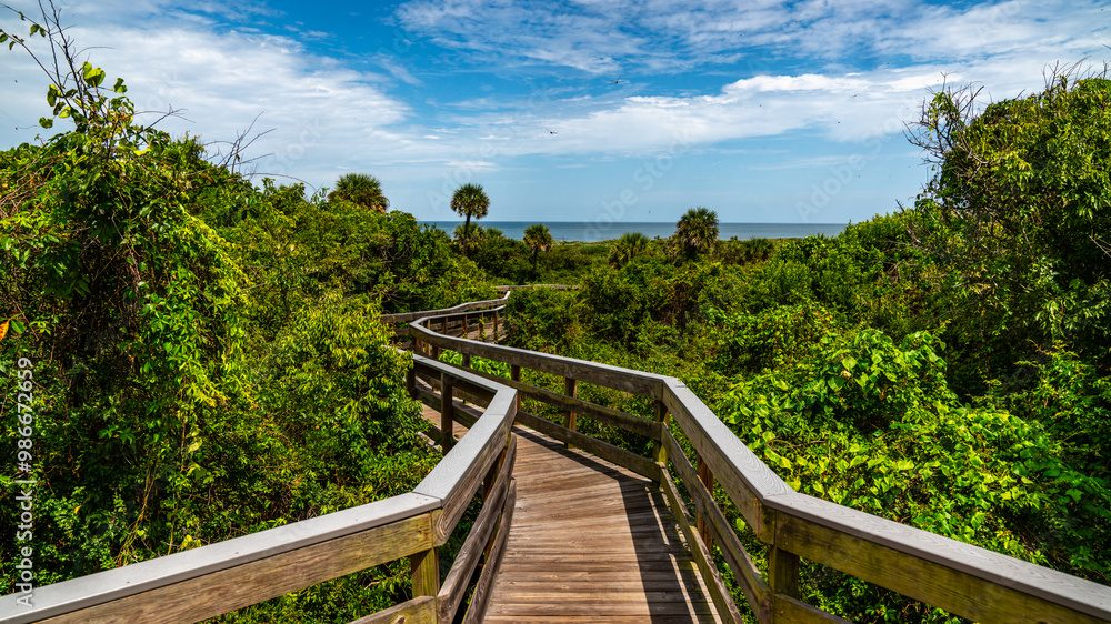 Walking path in Florida. Luxurious vegetation and a wooded walkway. Walking path in Florida. Luxurious vegetation and a wooded walkway.