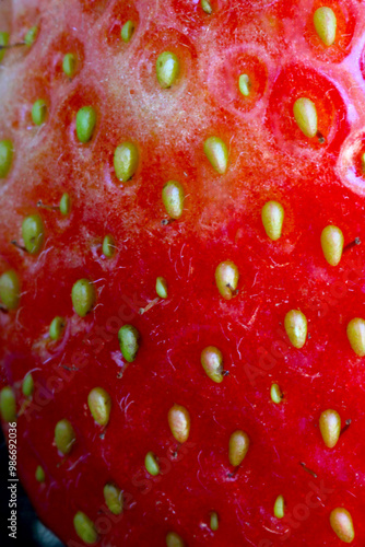 Wallpaper Mural Big Strawberry Abstract 02 Torontodigital.ca